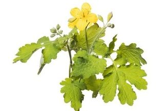 Gelarex enthält Celandine