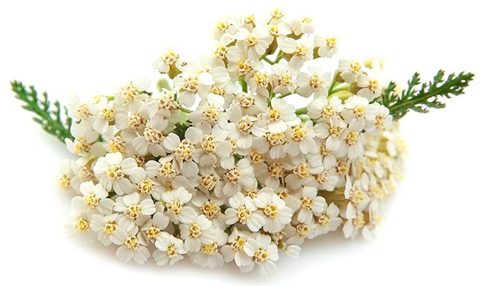 Gelarex enthält dausend Blat